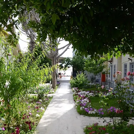 Hotel Andiz