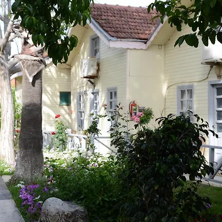Hotel Andiz